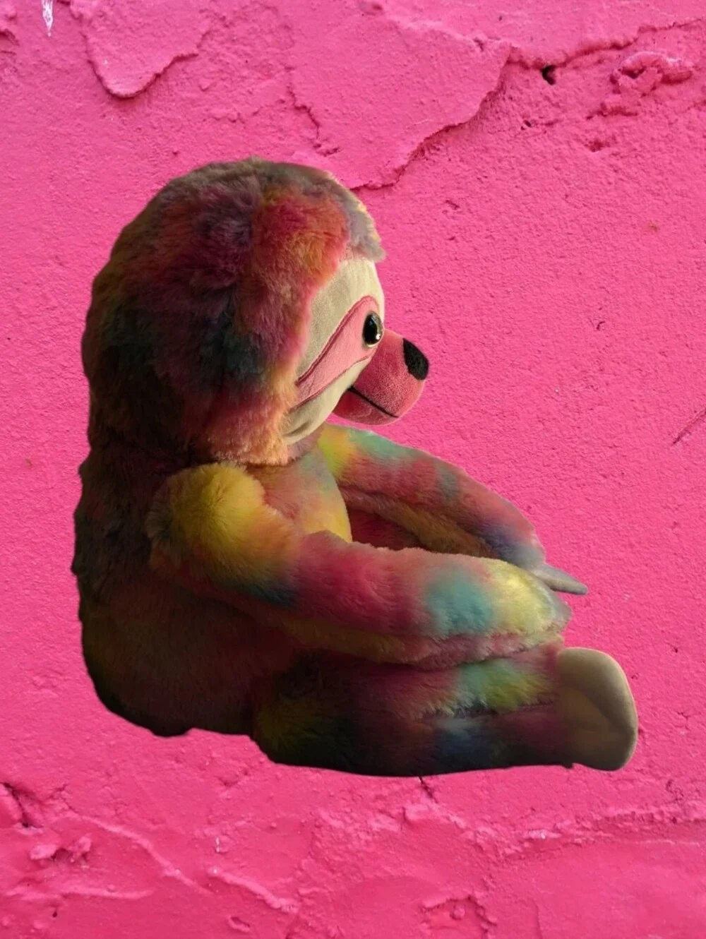 Rainbow 23